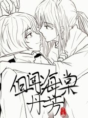 深入了解 红桃影视官网入口